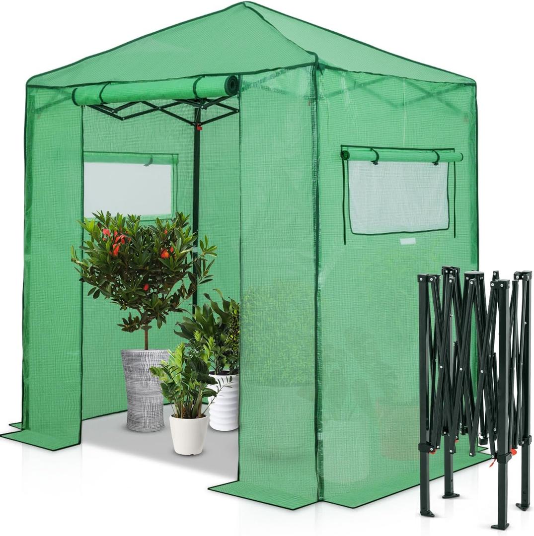 EAGLE PEAK Instant Pop-up Greenhouse, Indoor Outdoor Plant Gardening Green House, Roll-Up Zipper Doors and Side Windows, Walk in 6x4 ft, PE Cover, Green/Clear