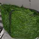 MAYSHINE Fake Grass for Dogs, Artificial Turf Grass Indoor Outdoor, Mat for Dogs Soft Blades, Cesped Artificial for Patios, Dog Astro Turf for Balcony, Quick Clean, Easy Rinse Patio Rug, 35"x24"