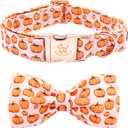 Elegant little tail Fall Dog Collar, Halloween Dog Collar Pink Pumpkin Pet Collars with Bowtie Puppy Metal Buckle Cotton Girls Boys Adjustable Pet Collars for Large Dogs (Large (Pack of 1))