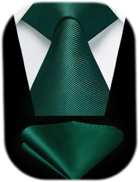 HISDERN Mens Ties Solid Color Ties for Men Formal Necktie with Pocket Square Set Satin Silk Neck Tie Handkerchiefs Set
