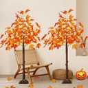 2 Pack 4FT Artificial Lighted Maple Tree, Thanksgiving Decorations for Home with Timer, 100 LED Prelit Fall Decor Maple Tree with Warm White Light for Indoor Outdoor Harvest Thanksgiving Day, Orange