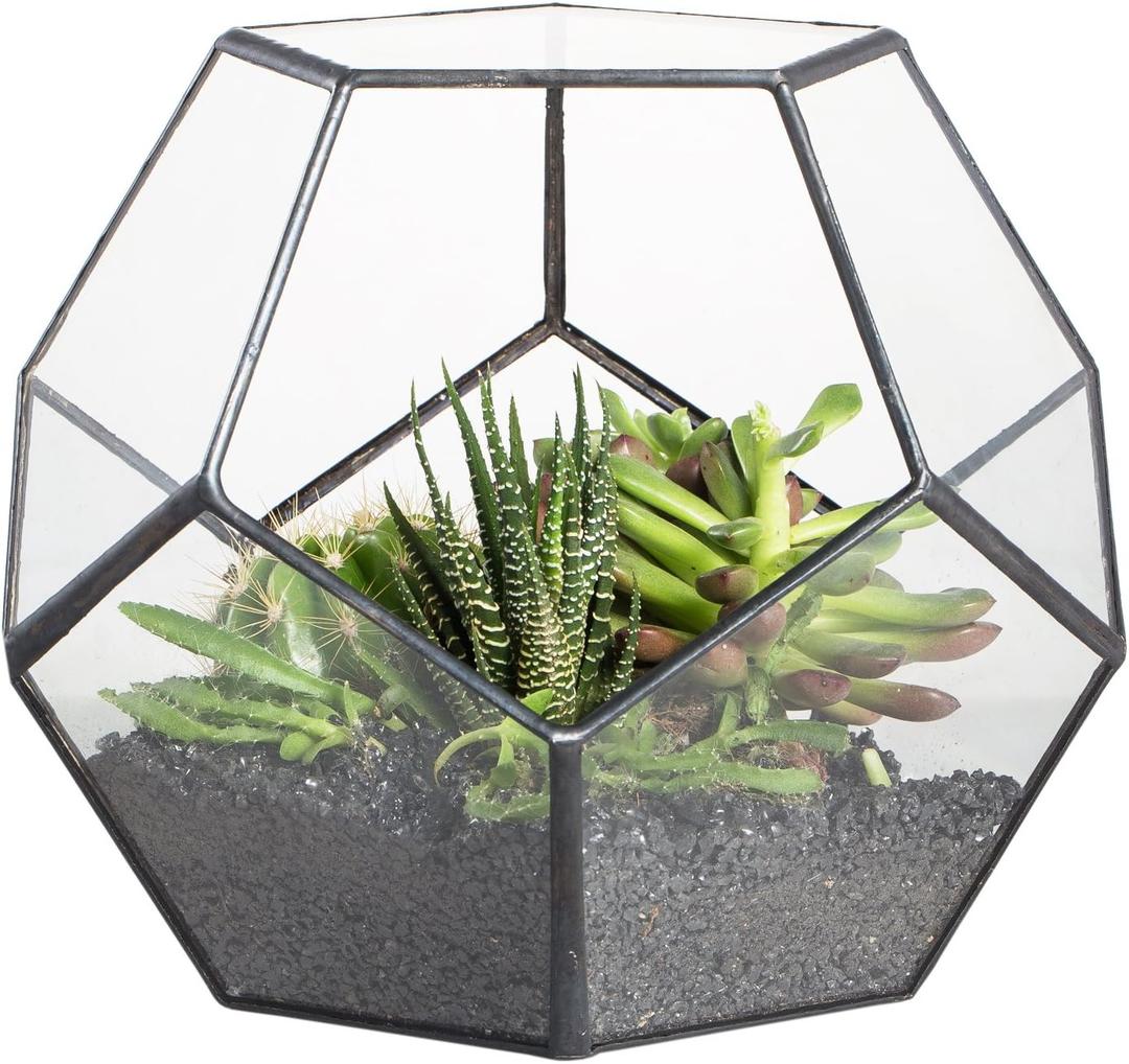 NCYP Small No Door Terrarium Planter - 6.8" x 6.8" x 5.9" Open Geometric Glass Terrarium Pot for Mini Succulents, Small Cactus - Home Tabletop Miniature Decor, Black (No Plants)