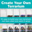 Creativity for Kids Grow 'N Glow Terrarium Kit - Educational Science Kits, Kids Gifts for Boys and Girls, Craft and STEM Projects (Ages 6+)