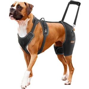 CHAMIN/RISURRY Dog Hip Brace Support for Hip Dysplasia, Arthritis, Back Leg limping, Rear Leg Brace with Back Handheld Design to Reduce Hip Pain et(Large)