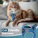 FAYOGOO Cat Harness, Cat Leash and Harness Set for Walking Escape Proof, Harness for Small Cats/Small Dogs, Large Kitten/Puppy Harness and Leash, Harness for Cats (Tranquil Teal, XX-Large)