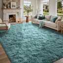 5x7 Rug for Living Room Teal Shag Area Rugs, Modern Plush Non-Slip Soft Carpets for Bedroom Kids Nursery Dorm Daycare Floor
