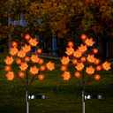 2 Pack Thanksgiving Decorations Lights Fall Decor Solar Lights Outdoor with 3D Maple Pumpkin, 8 Modes Fall Thanksgiving Lights Outdoor Solar Lights Waterproof for Yard Decor