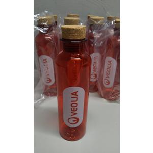 Plastic Bottle 22 Oz Pack of 12