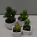 Set of 4 Artificial Succulents Plants Small Fake Succulent Plants in White Pot for Table Shelf Windowsill Indoor Outdoor Garden Greenery Decor