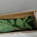 Artificial Fiddle Leaf Fig Tree 6FT - Large Fake Tree with White Planter&Basket, Tall Faux Ficus Lyrata Tree Floor Plants for Indoor Home Decor Office Living Room Housewarming Gift