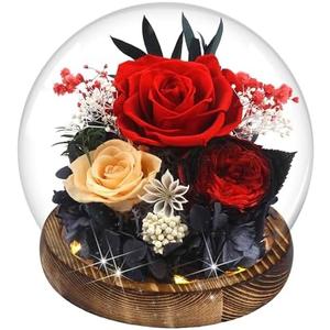 MOKOQI Birthday Gifts for Women Preserved Red Real Rose Flowers in Glass Dome, Forever Rose Valentines Day Gift for Her Mom on Christmas Birthday Flowers for Delivery Prime