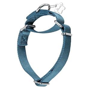 Dazzber Martingale Dog Collar, Escape-Proof and No Slip Design, Heavy-Duty Nylon with Metal Buckle, Adjustable for Small, Medium & Large Dogs, Colorfast for Training, Daily Walks (Haze Blue, M)
 (Medium: 14"-21")