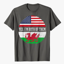 Half American Half Welsh USA Flag Wales Heritage DNA T-Shirt for Women Kids Men, Small