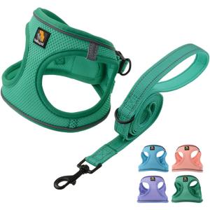 BELLA & PAL Step in Vest Harness for Small and Medium Dogs, No Pull Small Dog Harness with Leash Set, Comfortable Air Mesh Dog Vest Harness with Reflective Strip (Emerald, M)