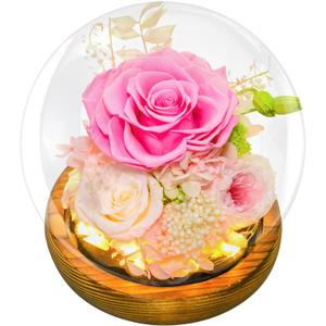 Preserved Flowers for Mom - Preserved Pink Roses in Glass Dome with LED Light for Girlfriend, Eternal Real Flowers for Women, Unique Long-Lasting Gift to Celebrate Christmas (Prime Delivery)