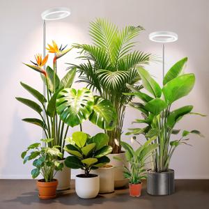 Kullsinss White Grow Light, Full Spectrum LED Plant Lights for Indoor Growing with 6/12/16H Timer, 3 Color Modes, 5 Brightness, 10"-65" Height Adjustable Growing Lamp for Large Indoor Plants, 2 Pack