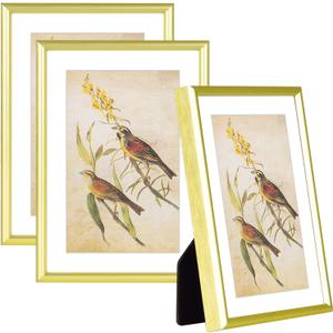 5x7-3P Picture Frame Matte Gold Brushed Thin Metal Float Photo Frame with HD Glass, Fit 4x6 with Mat or 5 x 7 without Mat, for Table and Wall, 3 Pack