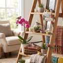 12Pcs Artificial Bird Ornaments, Cute Bird Decor for Christmas Tree, Wreaths, Seasonal Holiday Displays, DIY Crafts and Home Decor