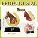 Kenning 3 Pcs Derby Day Horsing Trophies 1st 2nd 3rd Racing Award Cup 4.8" Acrylic Horseshoe Table Centerpieces Gold Riding Prize Party Gift for Adult Tournament Match Sport Team Competition