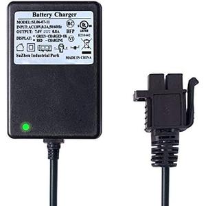 6V Charger for Kids Ride On Car 6 Volt Battery Charger for Frozen Scooter Batman Car Minnie Mouse 3-Wheel Scooter Ripper Swirl YFZ450 B-Type Plug