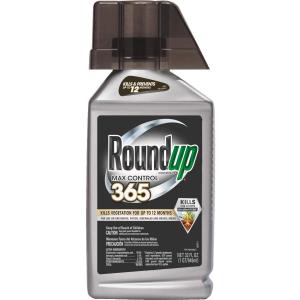 Roundup Concentrate Max Control 365 Vegetation Killer, 32 oz. (Not Sold in NY)