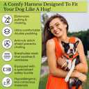 Classic Dog Harness Innovative Mesh No Pull No Choke Design Soft Double Padded Breathable Vest for Eco-Friendly Easy Control Walking Quick Release for Puppies Toy Breeds & Small Dogs (Small, Orange)