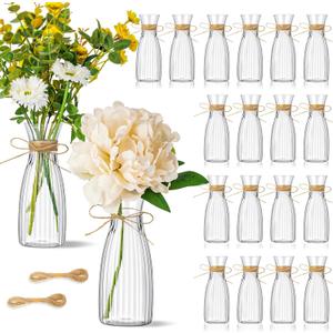 20 Pcs Plastic Flower Bud Vases Bulk with Twines Ropes Small Mini Flower Vases for Centerpieces Decorative Plastic Bottles for Wedding Reception Dining Table Home Decoration (Transparent)