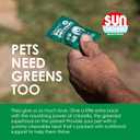 Sun Chlorella Sun Pet Treats Green Superfood Cat & Dog Supplement - Chlorophyll Eleuthero & Lecithin, Minerals, Antioxidants & Vitamins for Dogs & Cats - Immune Defense, Skin & Gut Health - 120 Bites