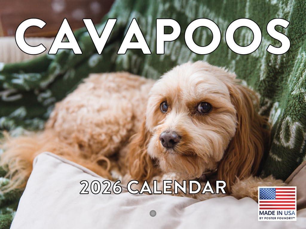 Cavapoo Calendar 2026 Wall Monthly Cavapoos Gifts For Cavapoo Lovers Women Men Mom Dad | American Made In The USA