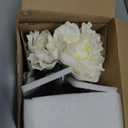 Hollyone Peonies Artificial Flowers with Vase White Peony Fake Flowers Faux Silk Flower Arrangements in Glass Vase with Faux Water Faux Floral Bulk Bouquet for Home Office Table Centerpiece Decoration