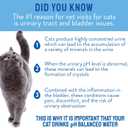 by VETWATER | ph-Balanced and Mineral-Free Cat Water | Clinically Proven Urinary Formula | Helps Prevent Cat Urinary Issues, FLUTD | 135.2 oz, 2-Pk, Clear (CW60101-2)