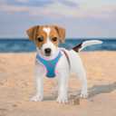 PHOEPET Step-in Dog Harness,Reflective Adjustable Dog Vest Harness, Soft Pet Walking Jacket with 2 Metal Leash Hooks for Dog and Cat(Baby Blue Base & Pink Straps,XL) (XL (Neck: 13.5-15.5,Chest: 18-20.5))