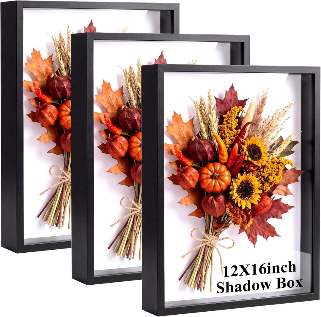 3 Pack Shadow Box Picture Frame Display Cases, 16 x 12 Inch, Black