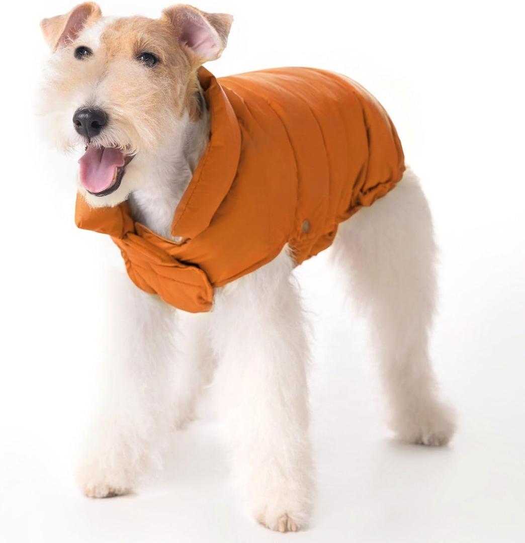 SPACE LION Dog Puffer Jacket, Down Winter Coat, Durable Outdoor Coat for Cold and Windy Conditions, Lightweight & Adjustable Fit Coats for Medium Dogs, (Orange, Size 14 Gift Box)