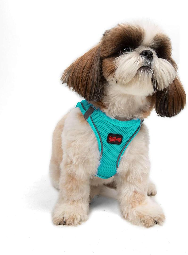 Tailpetz Light Blue Dog Harness Small Sized Dogs, Adjustable No Pull Step in Harness for Small Dog, Reflective Puppy Harness for Puppy Training, Small Dog Harness Boy Girl (Light Blue, S)