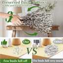 Oning 30 Stems Real Dried Pussywillow Preserved Greenery Branches for Vase- Natural Pussywillows with White Flowers, 16''-17'' Snow Willow Branches for Easter Wedding Home Party Hotel Fireplace Decor