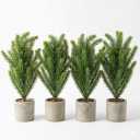 Suncalla 4 Pack Small Artificial Christmas Norfolk Pine Tree Rustic Table Decorations Centerpiece Indoor 14 Inch Faux Pine Trees with Pulp Flowerpot for Holiday Farmhouse Decor