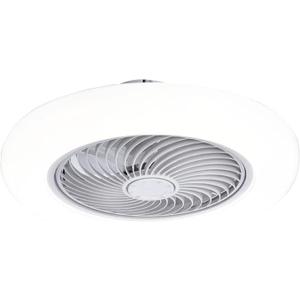 Celling Fan With Lights 17in Wide