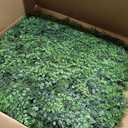20"x20" (12P), Artificial Greenery Grass Wall Backdrop, UV-Anti | Faux Green Boxwood Panel for Patio Balcony Privacy, Green Hedge Ivy Fence Covering Privacy, Garden, Backyard Wall Home Decor
