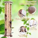 FEED GARDEN Metal Bird Feeder - 6 Port Tube Feeder for Outdoors, Heavy Duty Squirrel Proof with Metal Lid, Easy Fill & Clean, Weather Resistant Copper Finish, 13 Inch