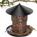 Bird Feeder for Outdoor Hanging, No Mess No Spill and Squirrel Proof Feeder | Squirrel Proof Bird Feeder with Catch Tray - Large Capacity All-Metal for Outside Hanging