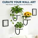 Wall Planters for Indoor Plants, 3 Pack Wall Mounted Plant Holder, Metal Plant Floating Decor Shelves, Space Saving, for Bedroom, Living Room, Kitchen, Office, Bathroom Decor