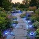 Solar Lights Outdoor,12 Pack Solar Garden Lights for Pathway,Yard,Deck,Lawn,Patio,Walkway,Driveway,StepBlue