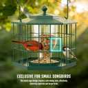 Birdream Squirrel Proof Bird Feeders for Outdoor Hanging, Metal Cage Bird Feeder with Rain Proof Covered for Wildbirds Bluebird Finches, Green