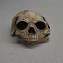 RRANYF Creepy Halloween Full Head Skull Mask with Movable Jaw, Adult Entire Head Realistic Latex Helmet, Scary Skeleton