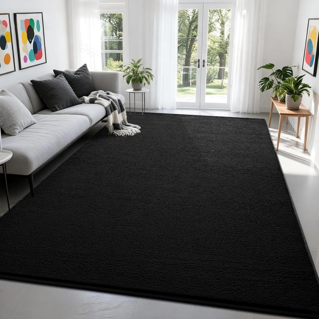 Nuttumico Large Modern Area Rugs for Bedroom Living Room, 4x6 Feet Black Rug, Thickened Memory-Foam Indoor Carpets, Minimalist Rug for Boys Girls, Soft, Non-Slip and Machine-Washable