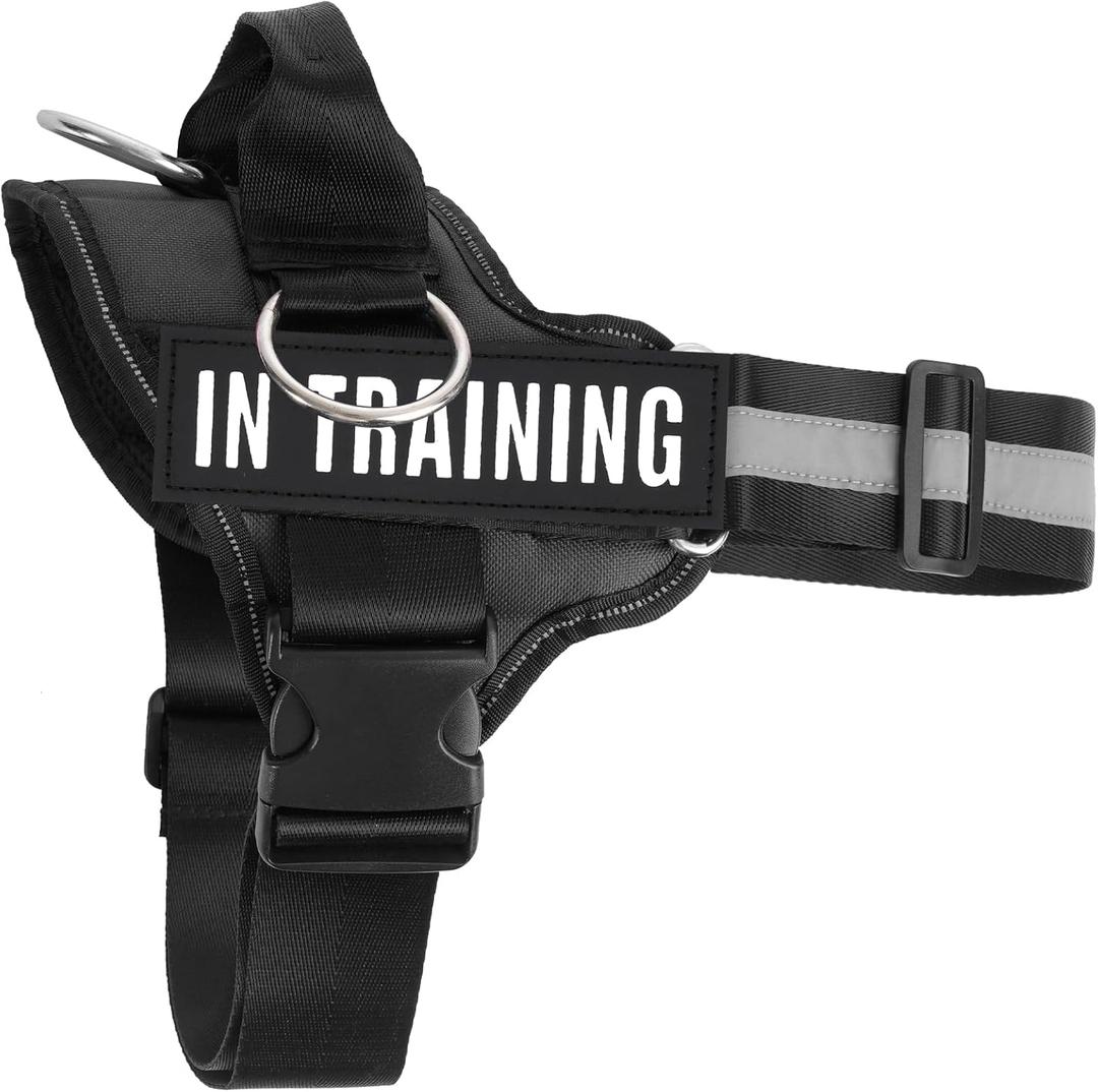 Essential Dog Harness with 3 Leash Clips - No-Pull, Adjustable, Comfortable Pet Vest Harness for Small to Large Dogs - Easy On, No Choke, Reflective, Padded Harness for Walking and Training (S(Neck:14-18",Chest:16-21"), Black)