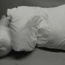 Casper Sleep Essential Pillow 2-Pack, Standard Size Medium Soft Feel, Down-Alternative Fill, Supports Side, Back & Stomach Sleepers