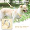No Pull Dog Harness for Small Medium Large Dogs - Adjustable 2 Layer Mesh Dog Vest with Dual Clip, Escape Proof, Quick Release, Lightweight Breathable Mesh for Walking Hiking (Light Yellow,XS)