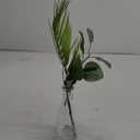 HD 16.2inc Palm Leaf In Glass Vase